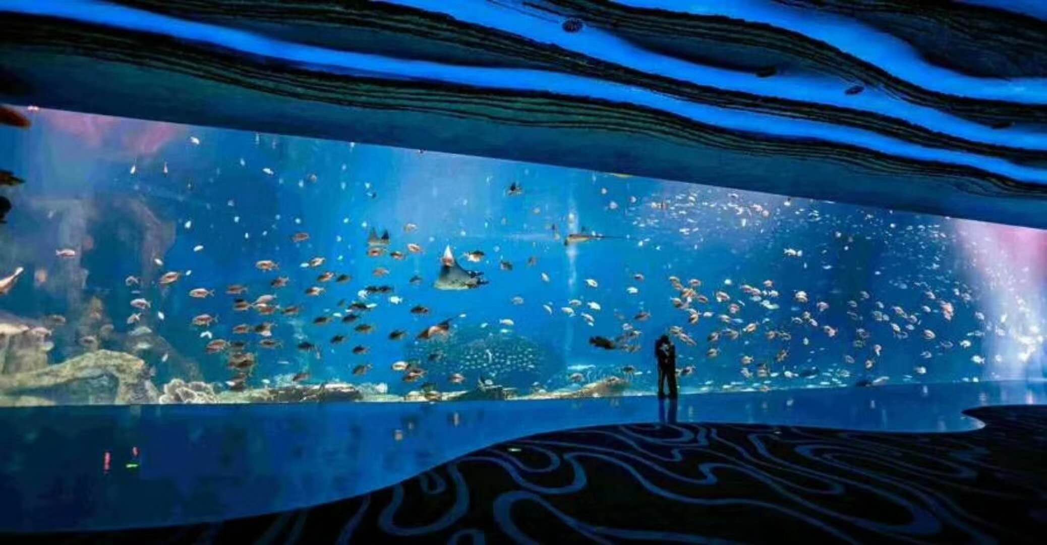 海洋館水族館生物養殖用水臭氧殺菌，滅藻