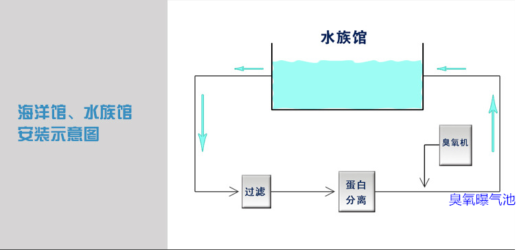 海洋館過(guò)濾，蛋分，臭氧，曝氣池.png